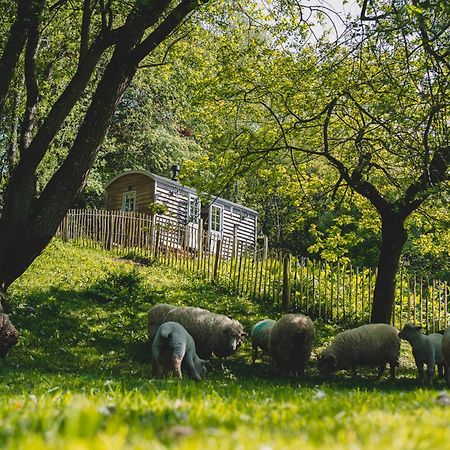 Somerset Shepherds Huts Winsham Buitenkant foto